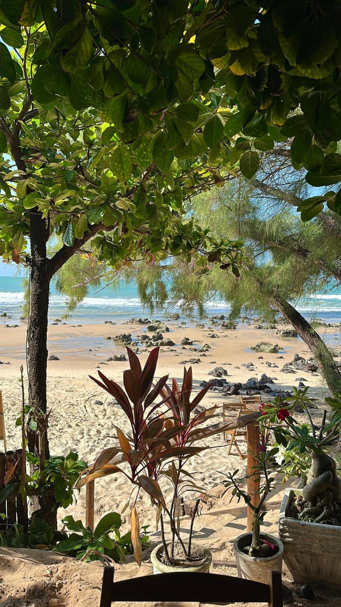 Pousada Paraiso Das Tartarugas Praia de Pipa Εξωτερικό φωτογραφία