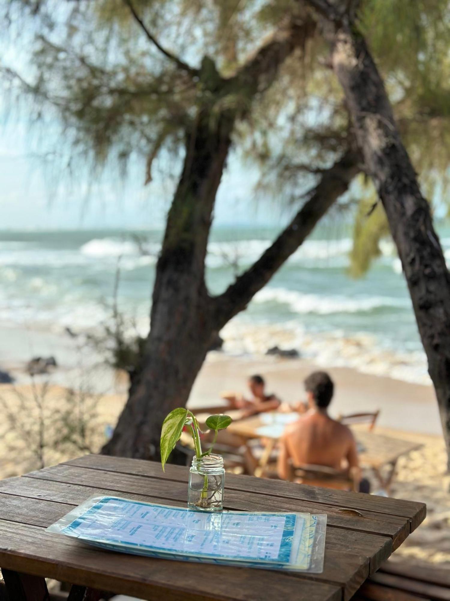 Pousada Paraiso Das Tartarugas Praia de Pipa Εξωτερικό φωτογραφία